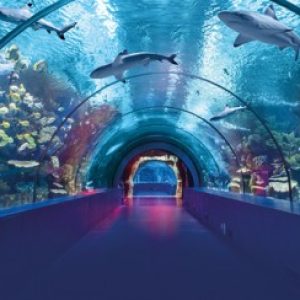 Antalya & Aquarium – z Antalya/Belek/Kemer