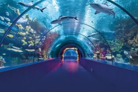 Antalya & Aquarium – z Alanya/Side