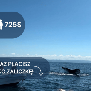 kopia – kopia – kopia – kopia – zima 2324 (12)