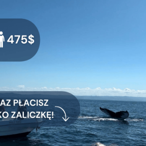 kopia – kopia – kopia – kopia – zima 2324 (13)