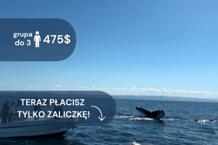 Półwysep Samaná – Wieloryby i Wyspa Bacardí – z Samana (wycieczka prywatna)
