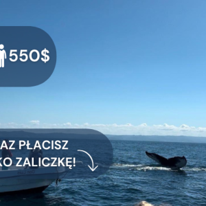 kopia – kopia – kopia – kopia – zima 2324 (2)