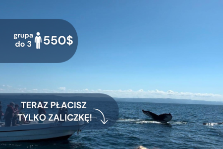 Półwysep Samaná – Wieloryby i Wyspa Bacardí – z Puerto Plata (wycieczka prywatna)
