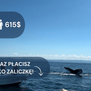kopia – kopia – kopia – kopia – zima 2324 (4)