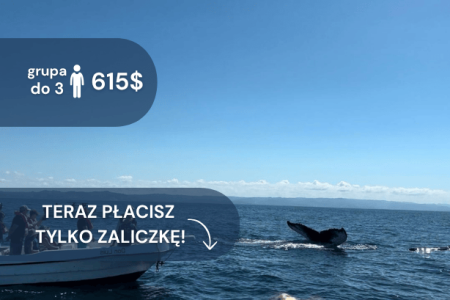 Półwysep Samaná – Wieloryby i Wyspa Bacardí – z Punta Cana (wycieczka prywatna)